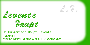 levente haupt business card